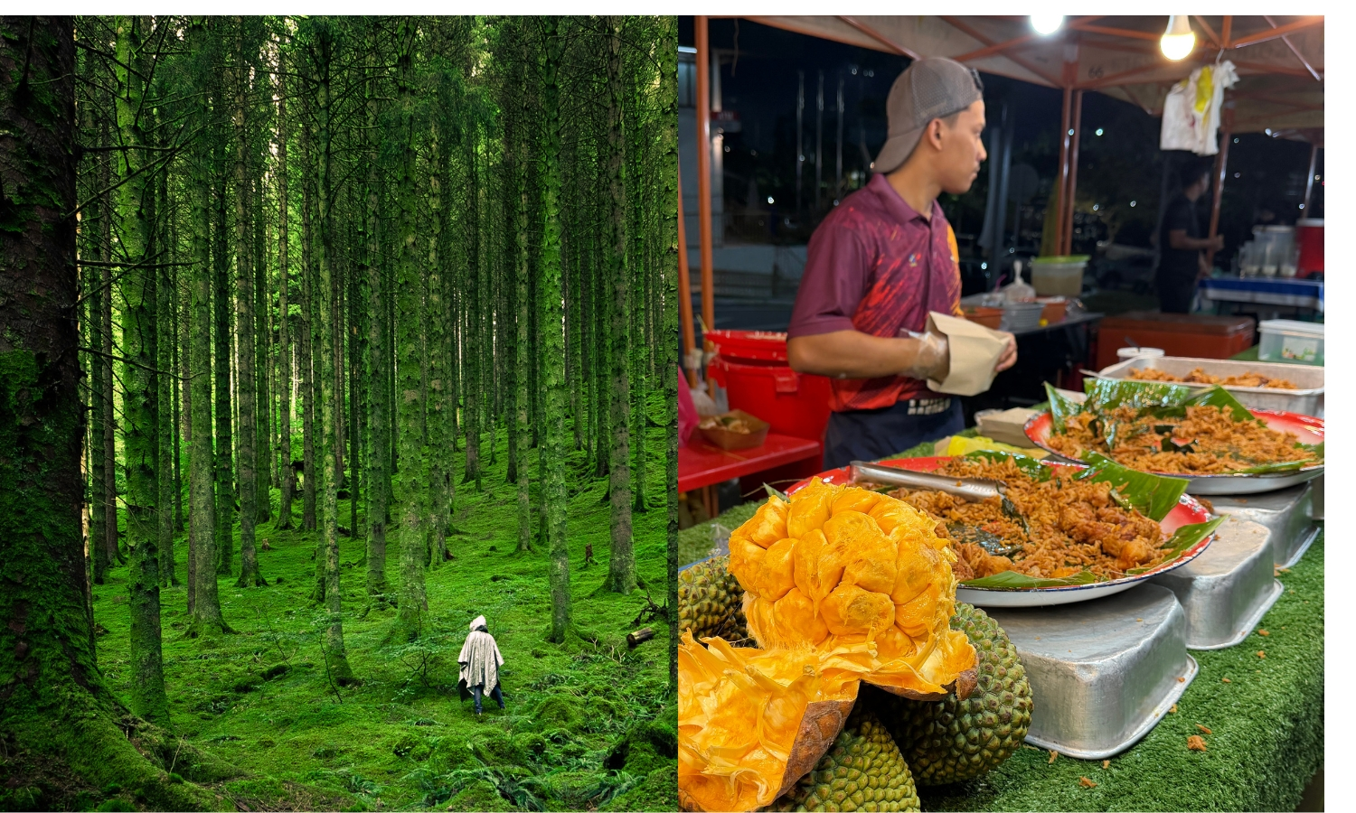 Southern Ridges Walk and Hawker Food Adventure